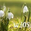 Przedszkole Publiczne Chatka Puchatka w Wągrowcu | W Radiowym Studio