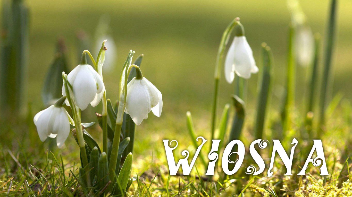 18 marca 2025 w naszym przedszkolu został zorganizowany  konkurs recytatorski pod patronatem Gazety Wągrowieckiej pod hasłem “WIOSNA” Do konkursu przystąpiło 28 dzieci ze wszystkich grup przedszkolnych. Każdy uczestnik zaprezentował swoje umiejętności recytatorskie przed liczną  publicznością składającą się z dzieci , pracowników przedszkola oraz jury w składzie: dyrektor przedszkola pani Iwona Nowakowska, przewodnicząca Rady Rodziców pani […]